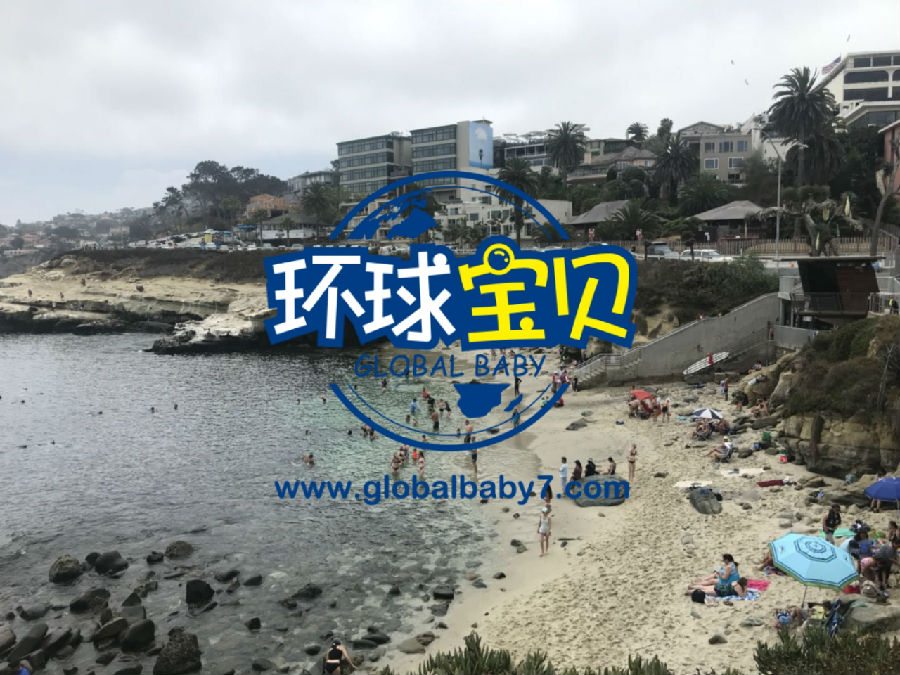 福建赴美生子