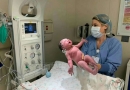 孕期如何去美国生孩子？美国生子各大途径公开！